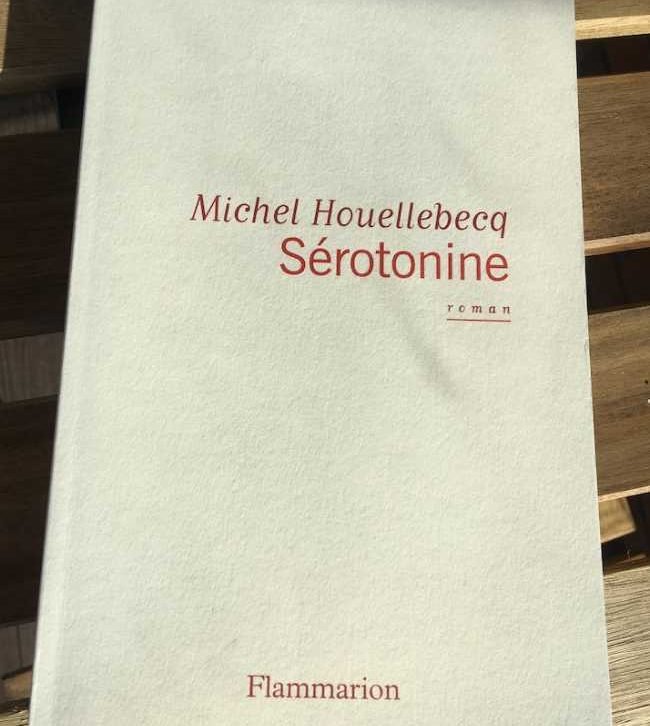 michel houellebecq sérotonine